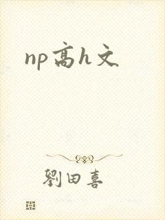 np高h文封面