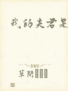 我的夫君是冥王封面
