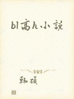 bl高h小说封面