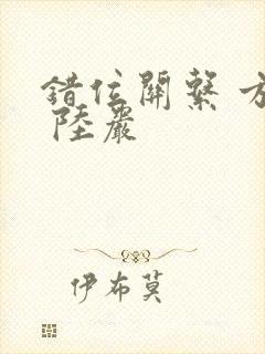 错位关系 方糖 陆岩封面