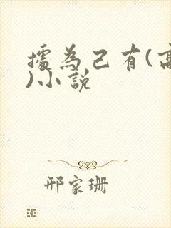据为己有(高干)小说封面
