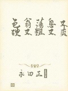 色翁荡息又大又硬又粗又爽电影