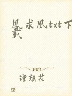 凤求凰txt下载