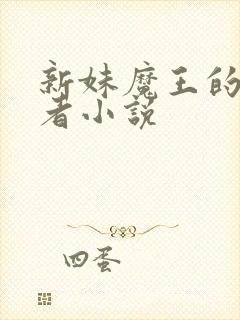 新妹魔王的契约者小说封面
