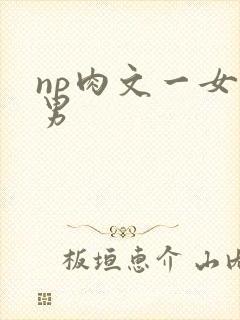 np肉文一女多男