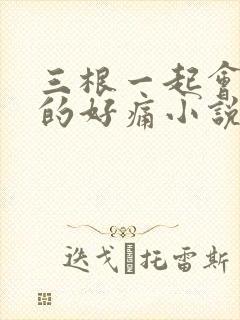 三根一起会坏掉的好痛小说