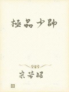 极品少帅