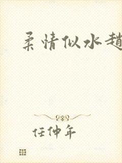 柔情似水赵雅儿封面