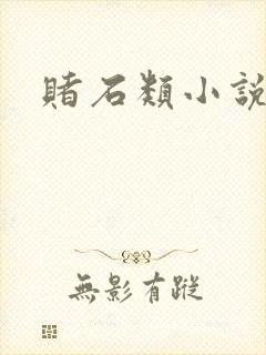 赌石类小说