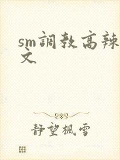 sm调教高辣h文