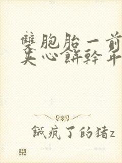 双胞胎一前一后夹心饼干年下