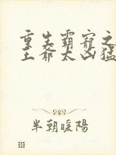 重生霸宠之摄政王爷太凶猛
