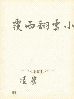 覆雨翻云小说