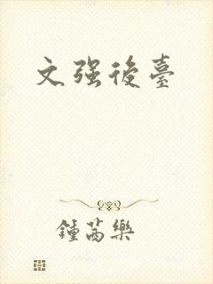 文强后台