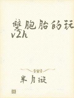 双胞胎的玩具1v2h