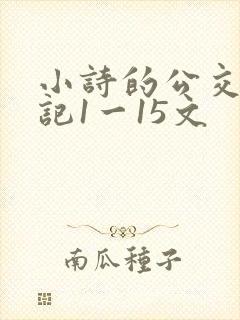 小诗的公交车日记1一15文