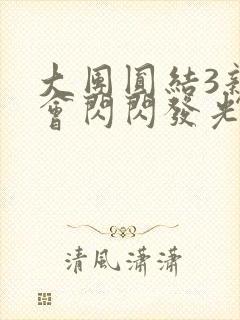 大团圆结3亲情会闪闪发光封面