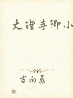 大理寺卿小说