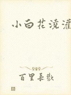 小白花浇灌日常封面