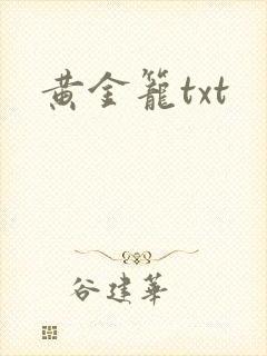 黄金笼txt