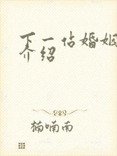 下一站婚姻剧情介绍
