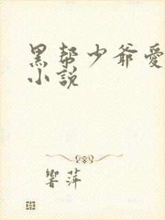 黑帮少爷爱上我小说