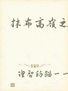 抹布高岭之花封面