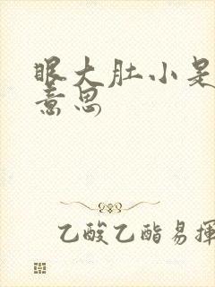 眼大肚小是什么意思
