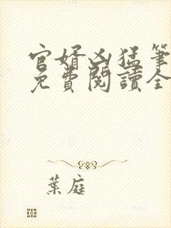 官婿凶猛笔趣阁免费阅读全文