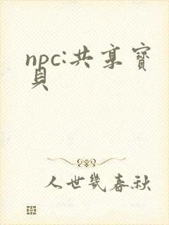 npc:共享宝贝