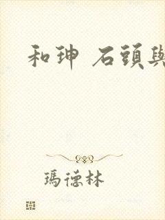 和珅 石头与水封面