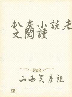 扒灰小说老马全文阅读