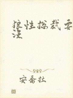 狼性总裁要够了没封面