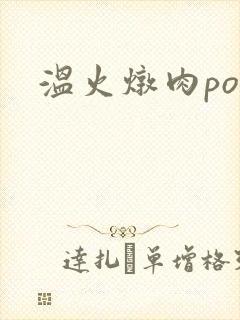 温火炖肉pop