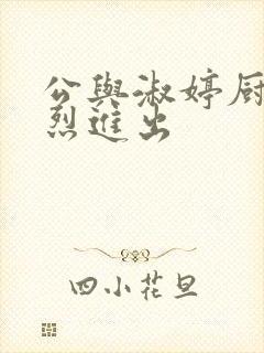公与淑婷厨房猛烈进出