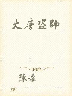 大唐盗帅
