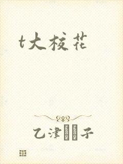 t大校花
