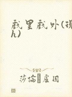戏里戏外(现场h)