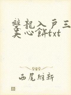 双龙入户三人行夹心饼txt