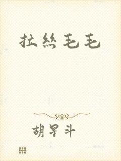 拉丝毛毛