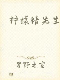 柠檬精先生
