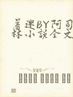 着迷BY阿司匹林小说全文免费阅读