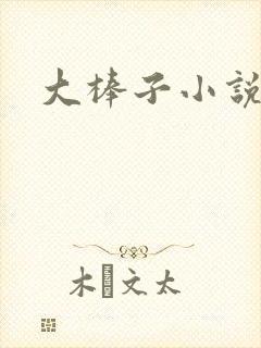 大棒子小说