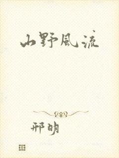 山野风流封面