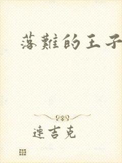 落难的王子封面