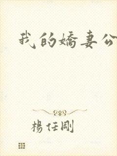 我的娇妻公务员