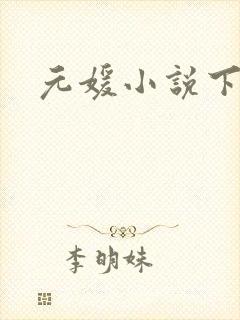 元媛小说下载