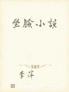 坐脸小说