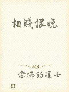 相贱恨晚封面