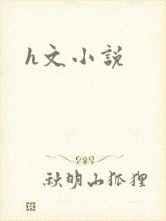 h文小说